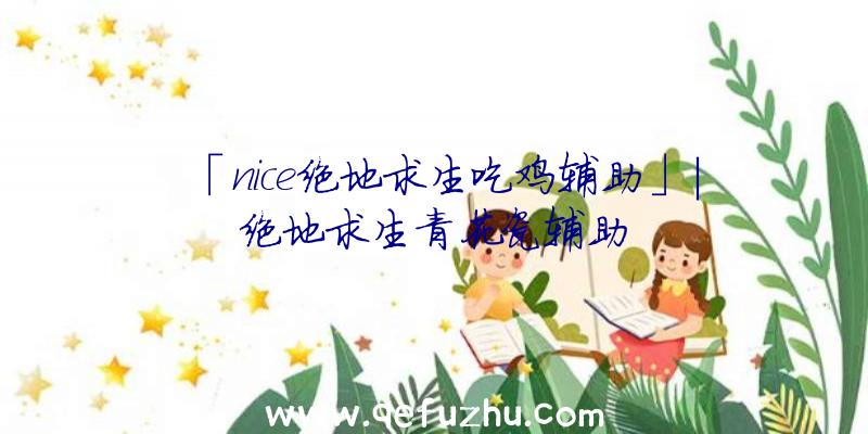 「nice绝地求生吃鸡辅助」|绝地求生青花瓷辅助